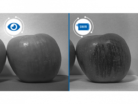 Viditelné světlo zobrazí ovoce v bezvadném stavu, zatímco SWIR kamera se světlem o vlnové délce 1 450 nm dokáže odhalit hnilobu přítomnou pod slupkou.
