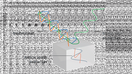 Co je polarizační kamera a v čem je jiná?