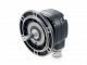EHOG860-S11100032