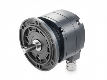 EHOG1070.X-S11P1P122