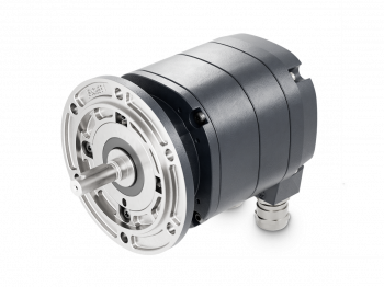 EHOG1095-S11101C22