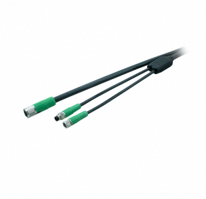 Multi headed cable Type B1